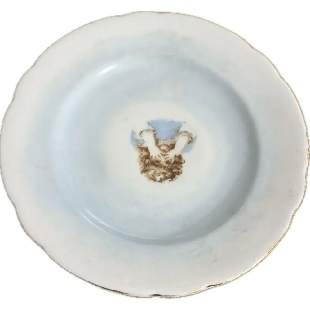Vintage Porcelain Plate with Delicate Floral Design